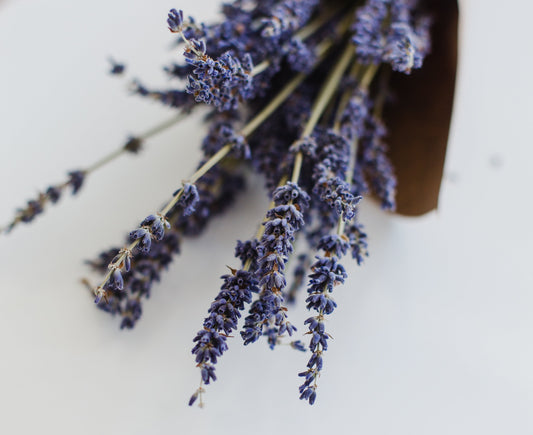 Les huiles essentielles